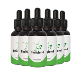 BariSlend 6 Bottles
